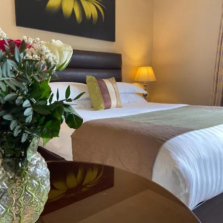 International فندق