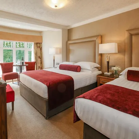 فندق International