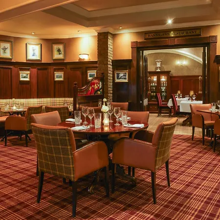 فندق International