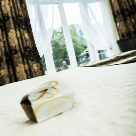 International فندق 4*