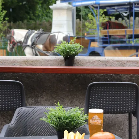 فندق International كيلارني