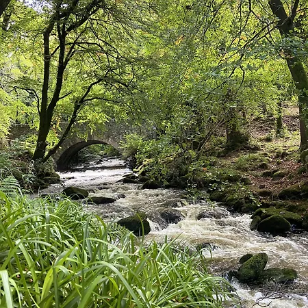 فندق International 4*