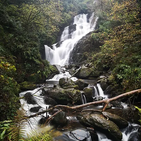 فندق International كيلارني