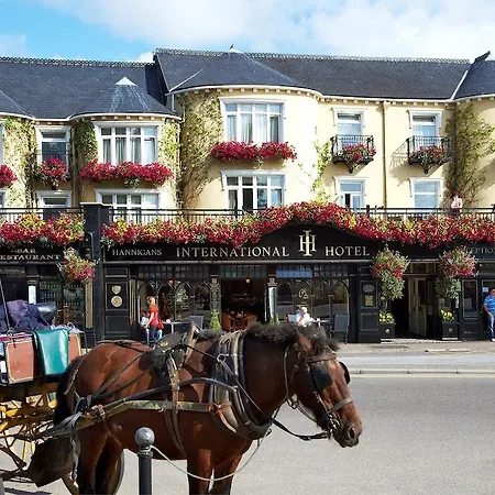 International فندق