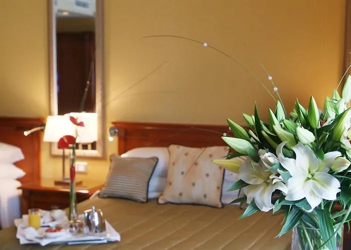 International 4* Килларни