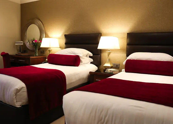 International 酒店 基拉尼