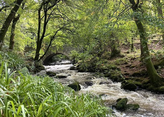 酒店 International 4*