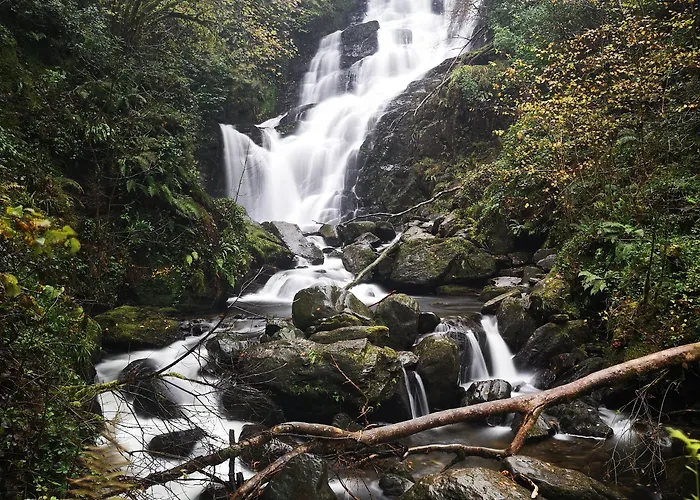 Отель International Килларни