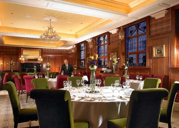 Отель International