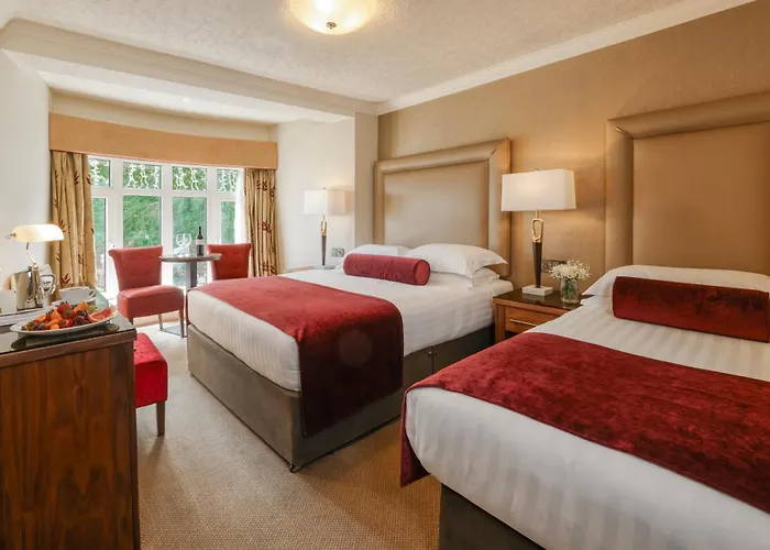 Отель International