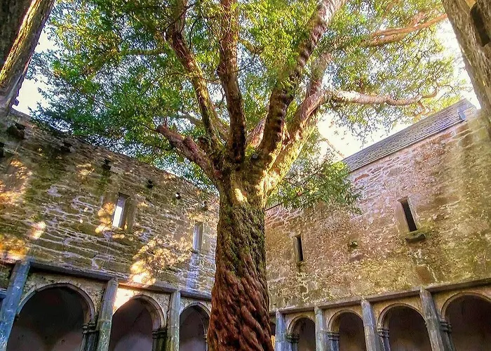 International Отель